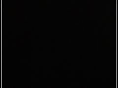 -川西坝子(老军营店)