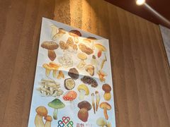 -滇野云南野生菌餐厅(陕西南路店)