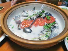 -全乐鱼馆·淳牌有机鱼直营店