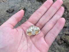 -三亚山海天JW万豪酒店