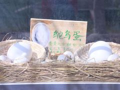 -水上乐园·欢乐世界