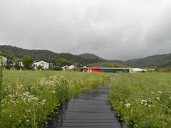 -山水一号·中餐厅