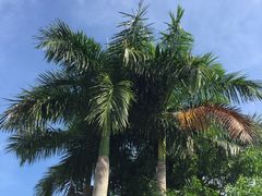 -惠州惠阳丽景国际花园酒店(市政广场店)