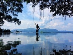 -大埔公路-马料水段香港中文大学(公交站)