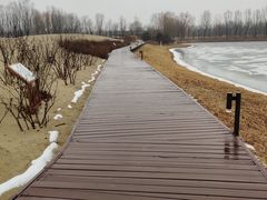 -东郊湿地公园