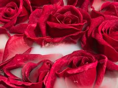 -雀蓝川菜(星悦汇店)