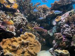 -鹿儿岛水族馆