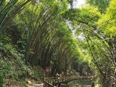 -凤栖山