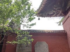 -洛阳白马寺