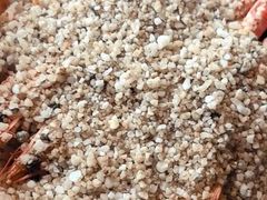 -观海轩餐厅(一线海景店)