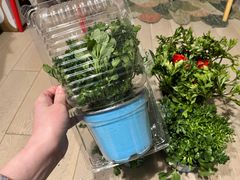 -保尔卓美园艺有限公司