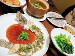 -觅唐MITONG(鸟巢店)
