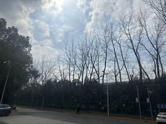 -外高桥保税区南(地铁站)