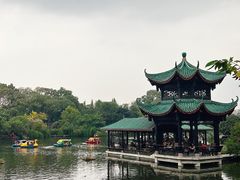 -桂湖森林公园