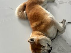 -中粮·祥云小镇