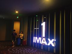 -万达影城(汉街万达广场IMAX店)