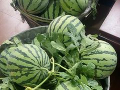 -南汇新场正宗水蜜桃采摘