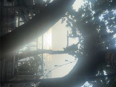 -卷心菜和避孕套餐厅(Pattaya)