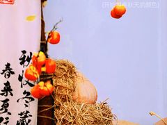 -塔川景区