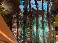 -桂满陇·海市蜃楼·黑金(国金店)