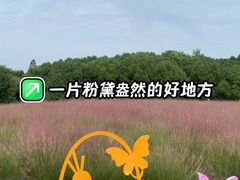 -同里国家湿地公园