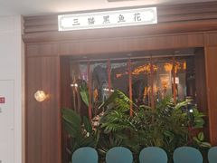 -三猫黑鱼花(南大店)