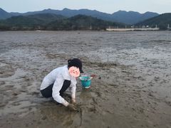 -坝光海滩