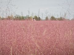 -汉长安城未央宫国家考古遗址公园