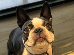 -Peet's Coffee皮爷咖啡(大学路店)