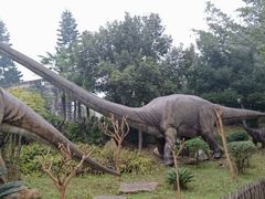 -自贡恐龙博物馆