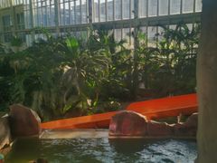 -中家鑫园温泉酒店鑫悦汤泉