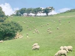 -天真蓝照相馆(杭州滨江宝龙店)