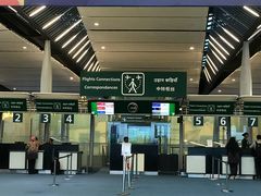 -西沃古尔·拉姆古兰爵士国际机场