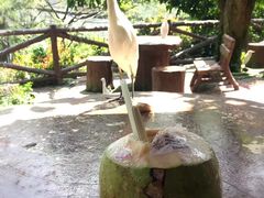 -吉隆坡雀鸟公园