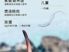 -原志优秀食材·匠心料理·海胆主题(金亿广场店)