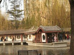 -团结湖公园