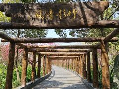 -南汇桃花村