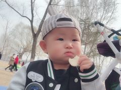 -长白岛森林公园