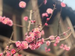 -阮氏酒家(柯桥店)