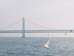 -星海广场