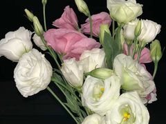 -素清香(解放路店)