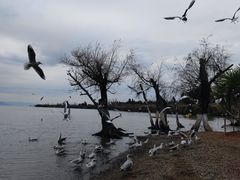 -捞渔河湿地公园