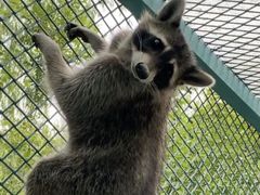 -水上乐园·欢乐世界