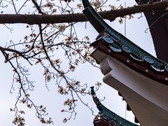 -东湖磨山景区