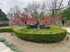 -元大都城垣遗址公园