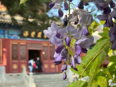 -大钟寺古钟博物馆