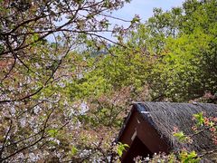 -中国茶叶博物馆(双峰馆区)