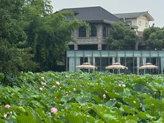 -三圣花乡旅游区