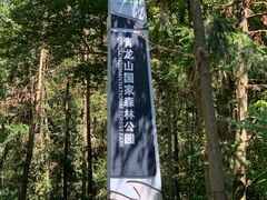 -青龙山国家森林公园