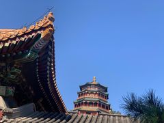 -颐和园